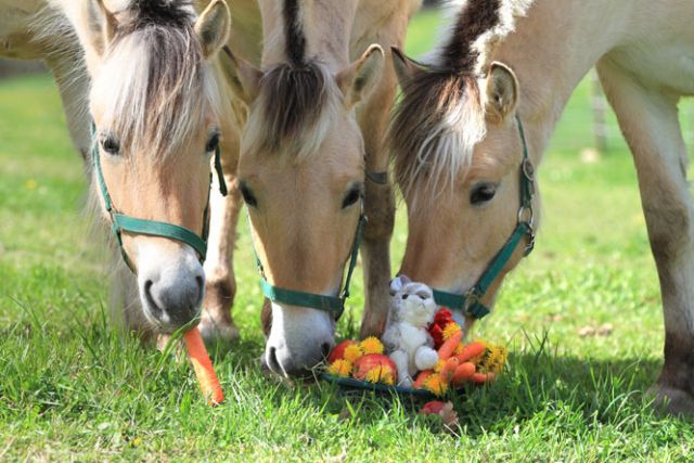Ferien-Programm in den Osterferien